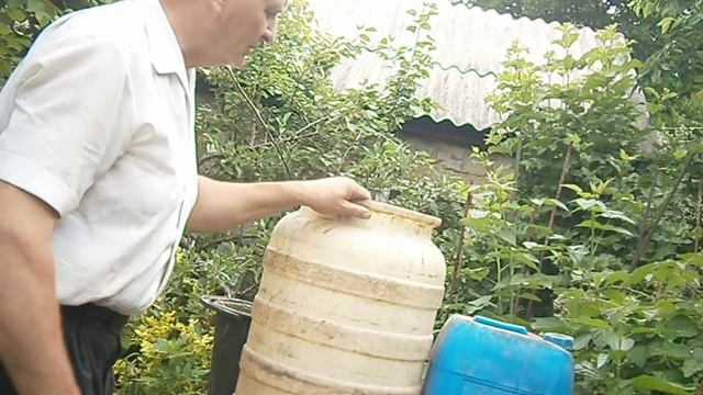 Зеленые удобрения для цитрусов своими руками смотреть онлайн