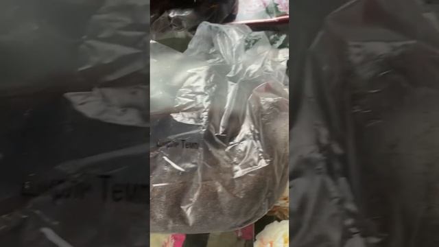 Распаковка посылки с пионами из Агрофирмы Поиск смотреть онлайн