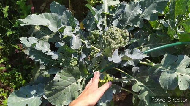 Секреты создания вечерних образов