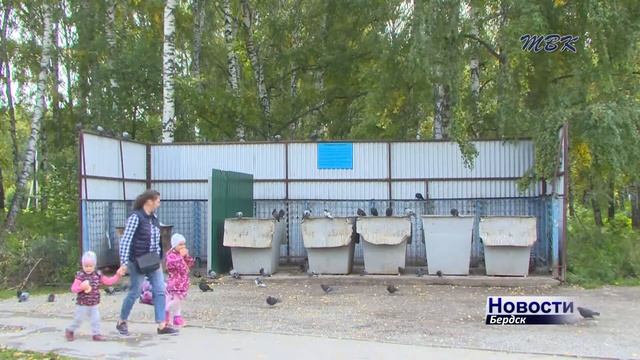 Городские голуби - символ мира или переносчики опасных болезней? смотреть онлайн