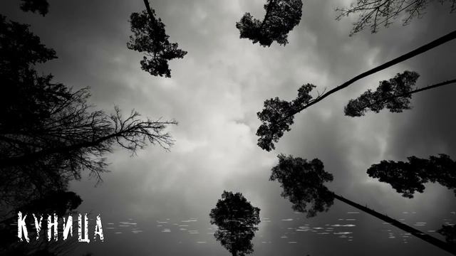 Куница | Страшная история | Избранное смотреть онлайн