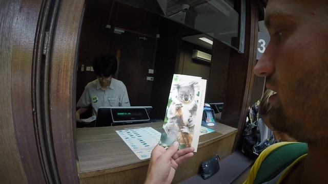 СИНГАПУР | КРУТЕЙШИЙ ЗООПАРК В МИРЕ | SINGAPORE ZOO смотреть онлайн
