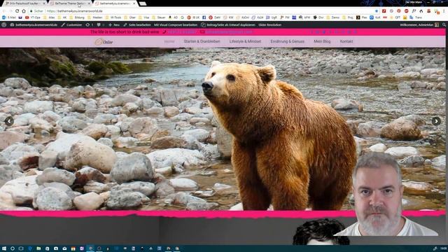 Aktionsleistenfarben beim Betheme ändern смотреть онлайн