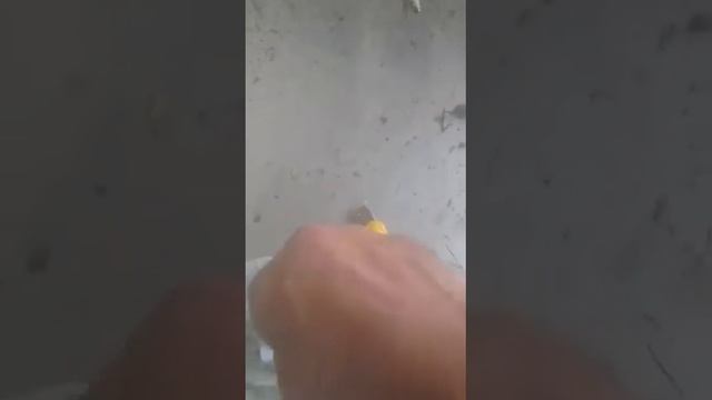 Супер клей из утеплителя ,, Техноплекс " 9 июня 2022 г. смотреть онлайн