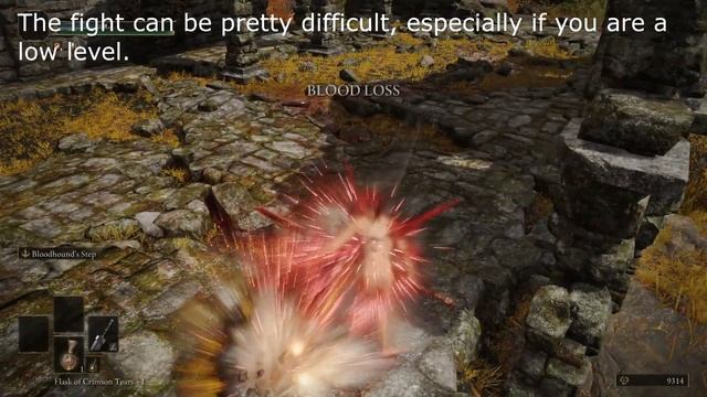 Elden Ring: White Mask Varré's Questline Offline (1.06) смотреть онлайн