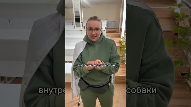 26 января 2024 г. смотреть онлайн