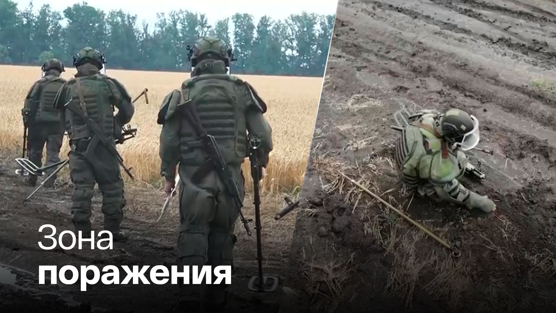 Пшеничные поля Донбасса очищают от украинских мин - Россия 24 смотреть онлайн