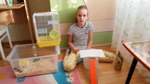 Сбежавший хомяк / История о том, как у меня появились джунгарики/Как найти хомяка