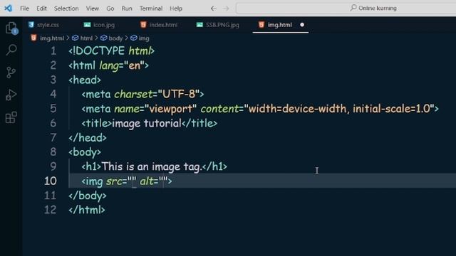 How to add image tag in html??? ,css and js ??image #coder @ankit8789 смотреть онлайн