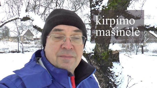ЛИТОВСКИЙ ЯЗЫК - 88 - MAŽYBINIAI DAIKTAVARDŽIAI (2) смотреть онлайн