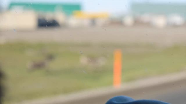 The END of The Road, Prudhoe Bay | Van Life Alaska смотреть онлайн