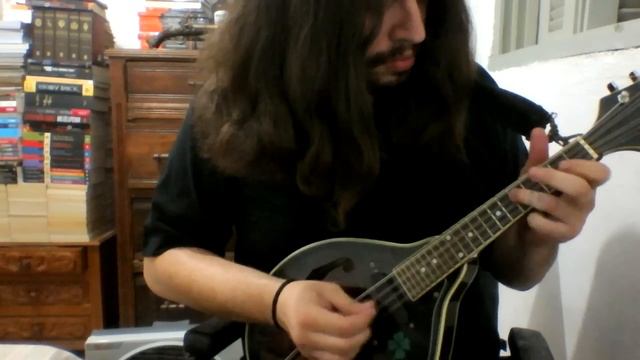 Irish Washerwoman - Mandolin смотреть онлайн