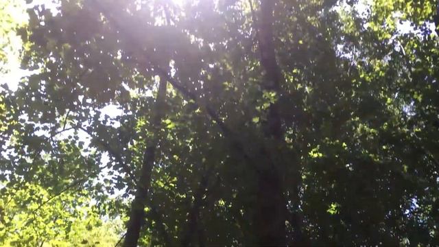 Есть ли смысл ездить в Грузию? Тбилиси, Батуми и двое из центральной России смотреть онлайн