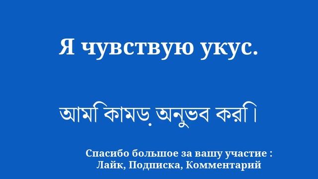 ПРОСТО и БЫСТРО выучить бенгальский смотреть онлайн