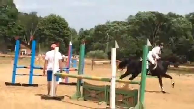 Лошадиные соревнования