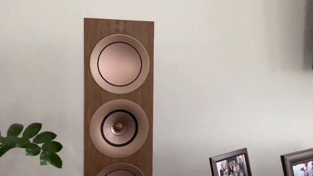 New KEF R7 walnut смотреть онлайн