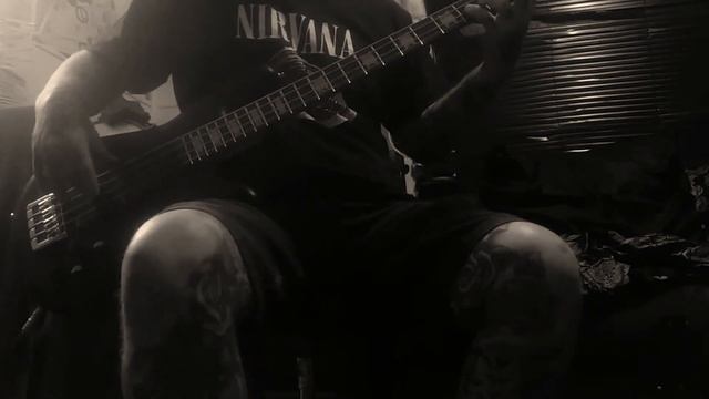 "ROOSTER" A.I.C SPECTOR EMG BASS COVER. смотреть онлайн