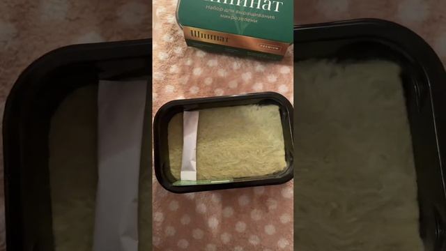 МИКРОЗЕЛЕНЬ ДОМА??НЕ ПОКУПАЙТЕ ЭТО! смотреть онлайн