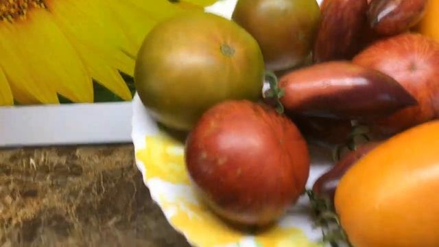Новинки томатов 2023. Бычье сердце Минусинское оранжевое. Дегустация. смотреть онлайн