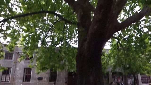 [ББ] Ореанда, Мисхор, Воронцовский парк смотреть онлайн