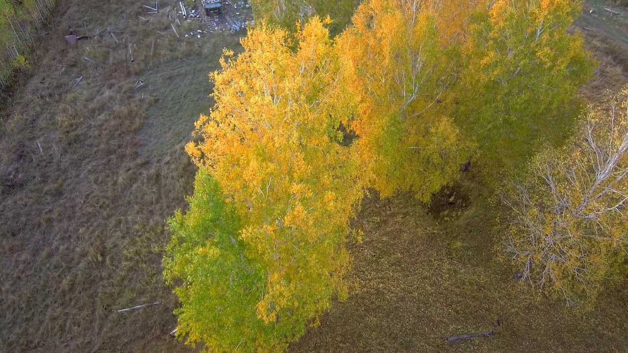 Осень пришла.  Xiaomi Mi Drone 4K С.Северное ( НСО )