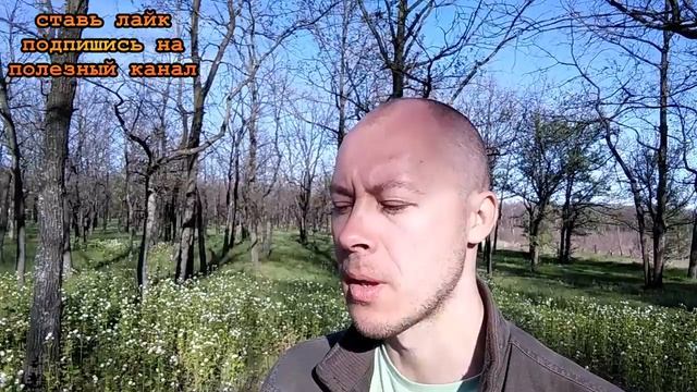 ★Как избавиться от жирных пятен в кухне и очистить кухонную мебель и противень от жира. смотреть онлайн