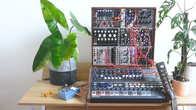 Anthurium - Ilsemanii [Sleep Music / Modular Synth / Generative / Chill]