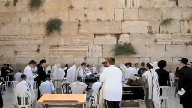 SHALOM JERUSALEM by Misha Marmar Миша Мармар Music Ilya Slovesnik смотреть онлайн