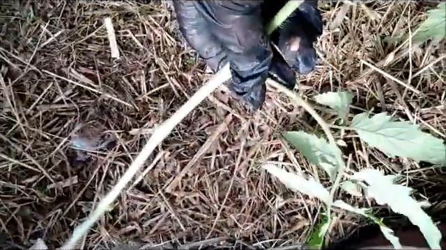 способ регулировать температуру в теплице смотреть онлайн