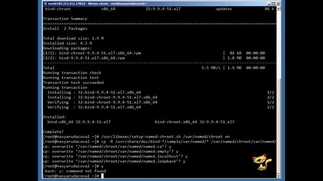 ☣ Как поднять ДНС сервер ☣ Как установить Bind ☣ Bind на CentOS 7 ☣ Bind в Chroot окружении ☣