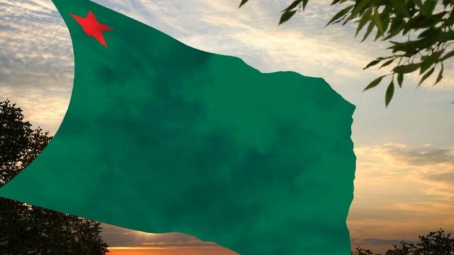 Флаг и гимн Народной Республики Бенина Flag and anthem of the People's Republic of Benin смотреть онлайн