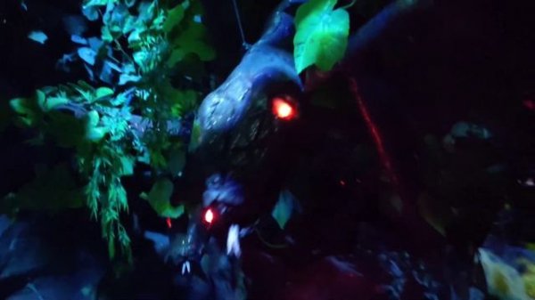 Джунгли в РЦ Ailand. Астана