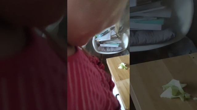 Готовим борщ 30 октября 2022 г.