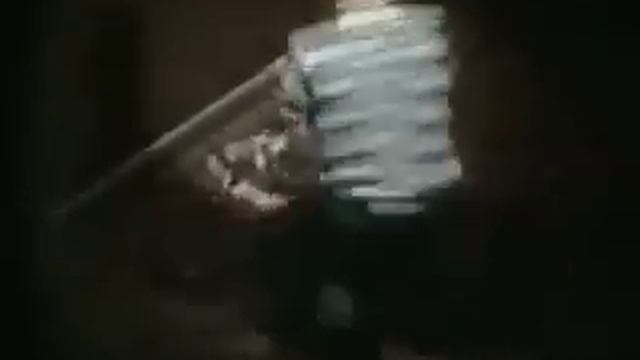 bobo doll experiment смотреть онлайн