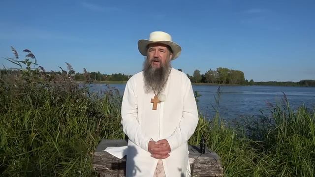 Какие мы принимаем витамины?
