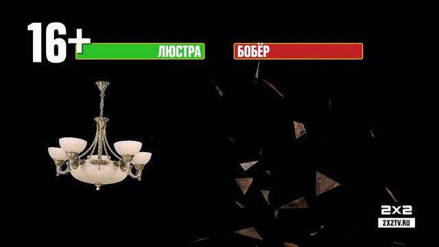 Межпрограммка 2х2. Люстра vs. Бобер смотреть онлайн