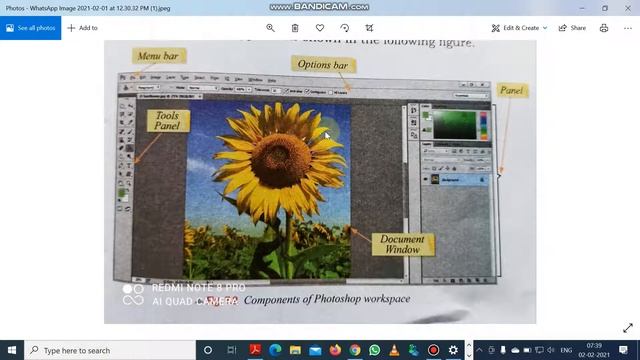 SCMS Introduction To Adobe Photoshop-video 1 смотреть онлайн
