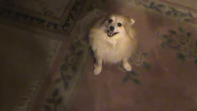 My Little Helper Mario Part 5 смотреть онлайн
