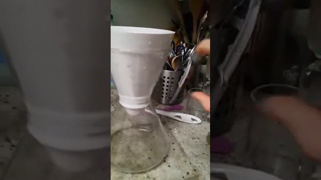 Soma filter смотреть онлайн