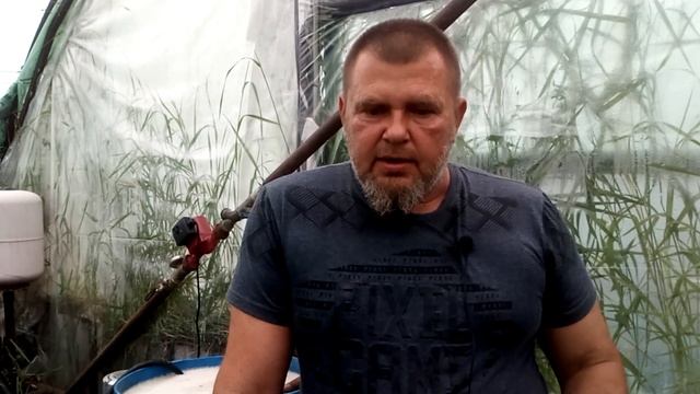 ПЛОХО НАЛИВАЮТСЯ ПЛОДЫ НА ТОМАТЕ/ВНЕСИТЕ ХЕЛАТ ЖЕЛЕЗА /Топ - 4 ХЕЛАТА ЖЕЛЕЗА смотреть онлайн