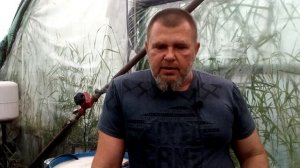 ПЛОХО НАЛИВАЮТСЯ ПЛОДЫ НА ТОМАТЕ/ВНЕСИТЕ ХЕЛАТ ЖЕЛЕЗА /Топ - 4 ХЕЛАТА ЖЕЛЕЗА