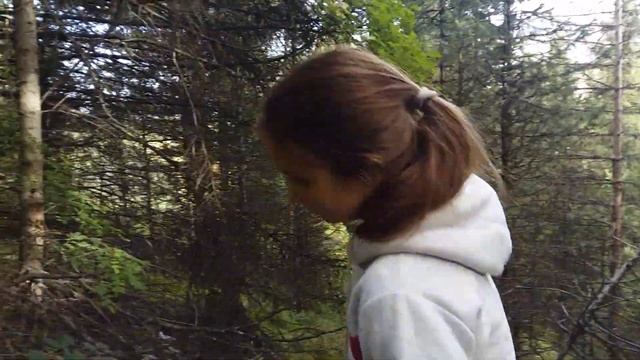 Поездка за грибами на плато Асы. Собираем грибы в горах смотреть онлайн
