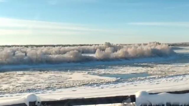 Перовы// Вася больше не самец... сам признался... // Обзор видео// смотреть онлайн