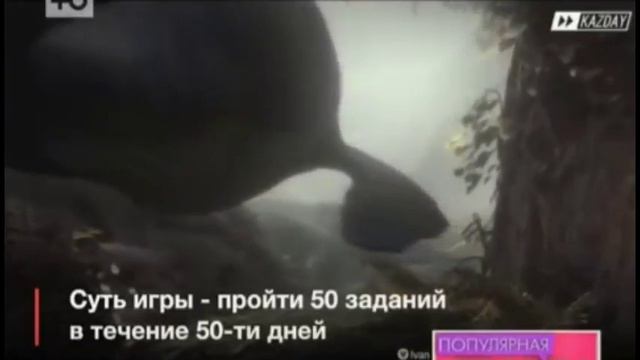 Клинический психолог Люция Сулейманова о людях, склонных к суицидам (Популярная правда на Ю) смотреть онлайн