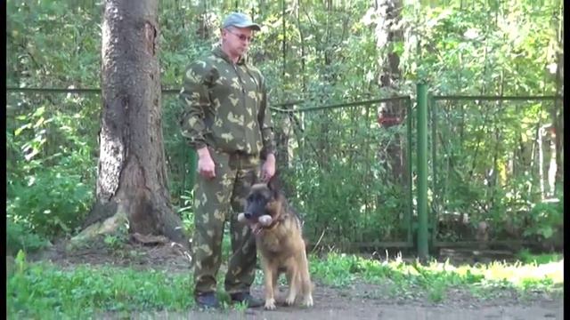 Хайт Защита смотреть онлайн