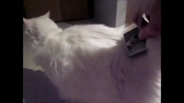 Brushie 2 смотреть онлайн