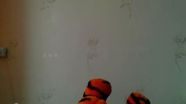 Видео с веб-камеры. Дата: 8 марта 2014 г., 15:12.