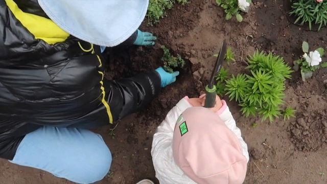 VLOG: ШЕСТЬ ПАДЕНИЙ ЗА ДЕНЬ. ДАЧНЫЕ БУДНИ. 15.05.2023 смотреть онлайн