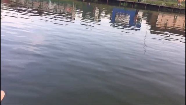 До запуска, поимки форели исключительно на резину! смотреть онлайн