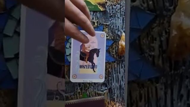 Tarot & Oracle Card Reading(s) смотреть онлайн